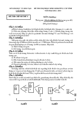 Đề thi chọn học sinh giỏi lớp 12 cấp tỉnh năm học 2012 - 2013 môn sinh học